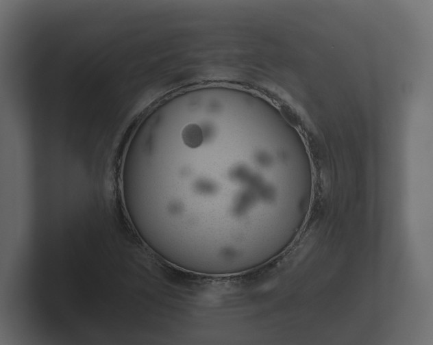 X0000102791266200808251021