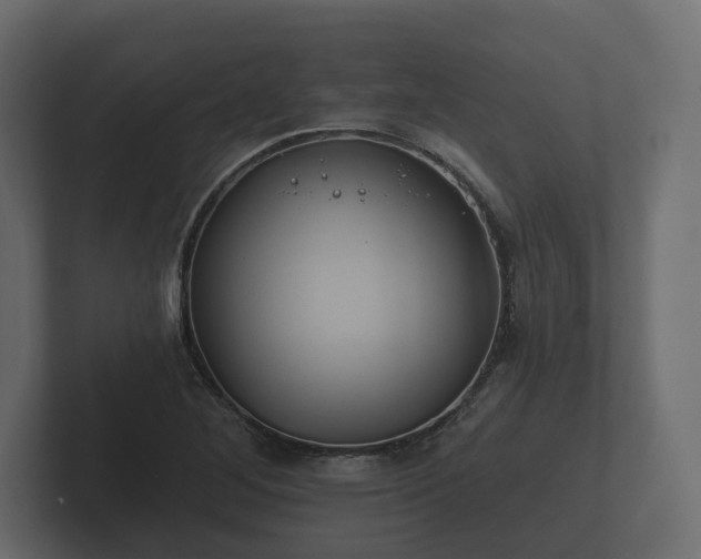 X0000102791268200808251021