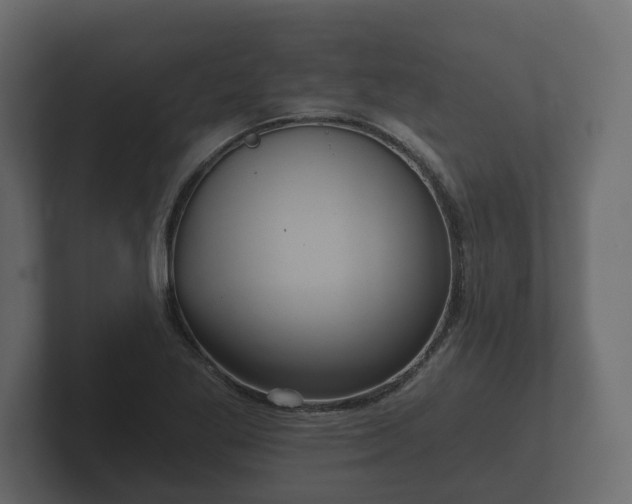 X0000102791269200808251021