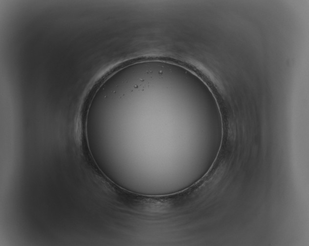 X0000102791270200808251021