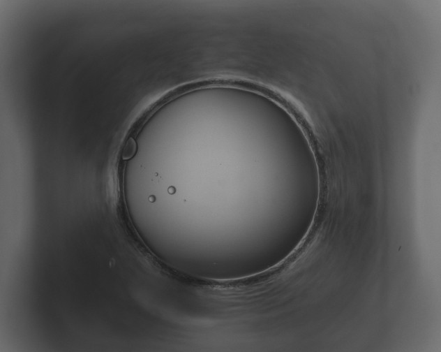 X0000102791271200808251021