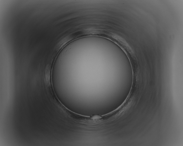 X0000102791273200808251021