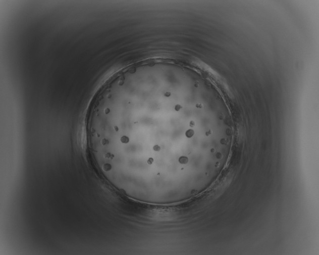 X0000102791274200808251021