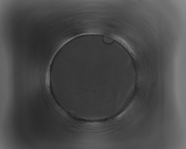 X0000102791276200808251021