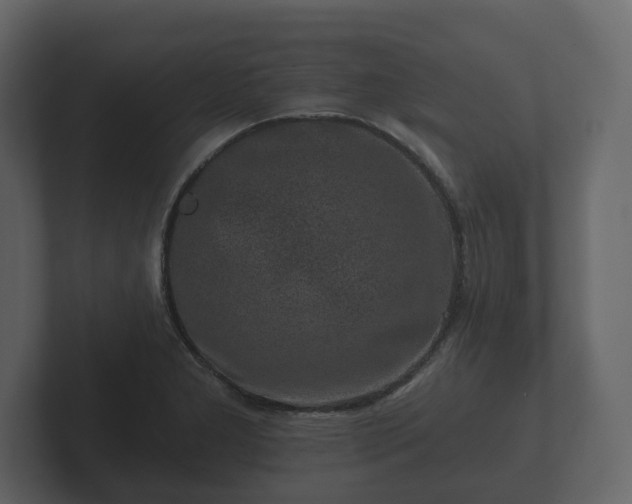 X0000102791277200808251021
