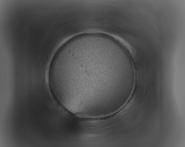 X0000102791279200808251021