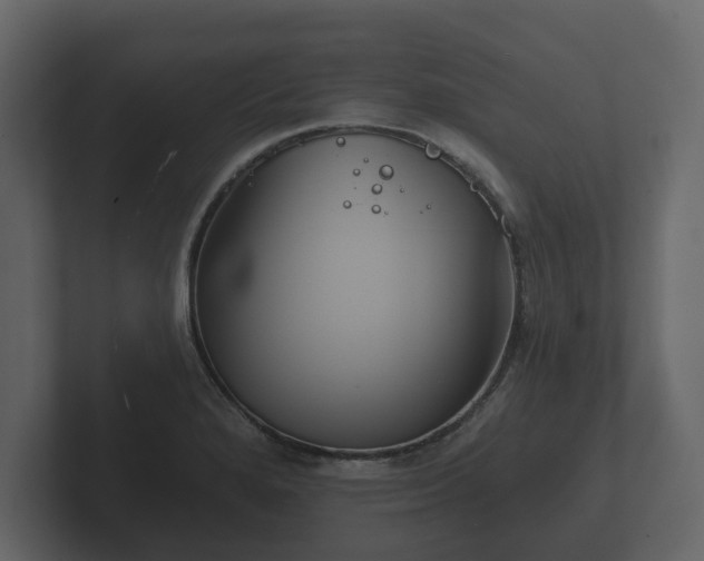 X0000102791280200808251021