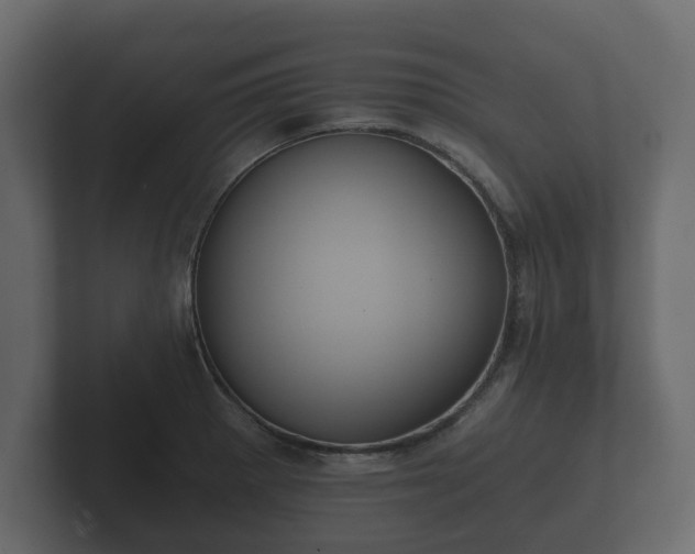 X0000102791281200808251021