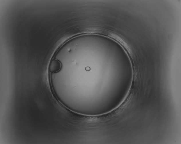 X0000102791283200808251021
