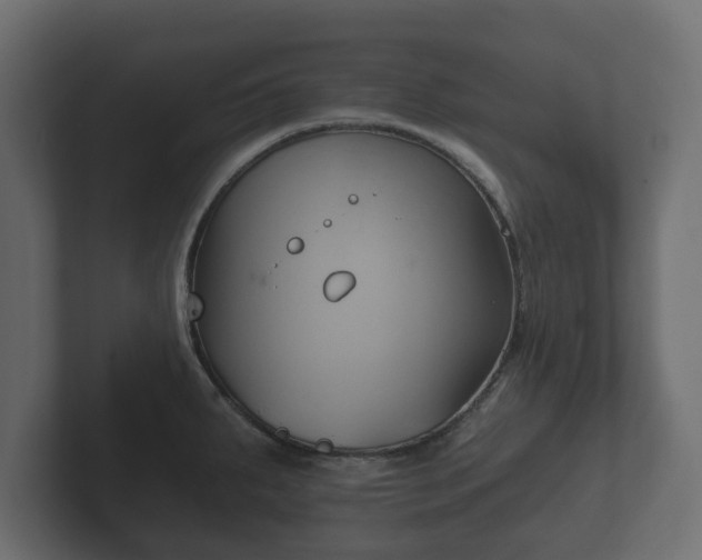 X0000102791287200808251021
