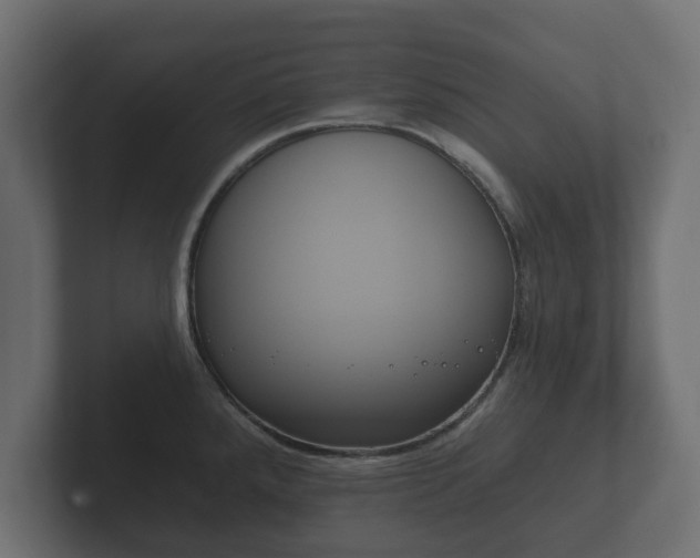 X0000102791288200808251021