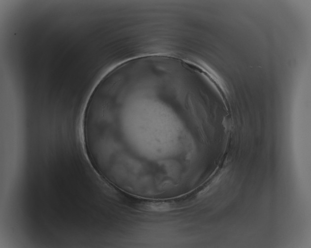 X0000102791291200808251021