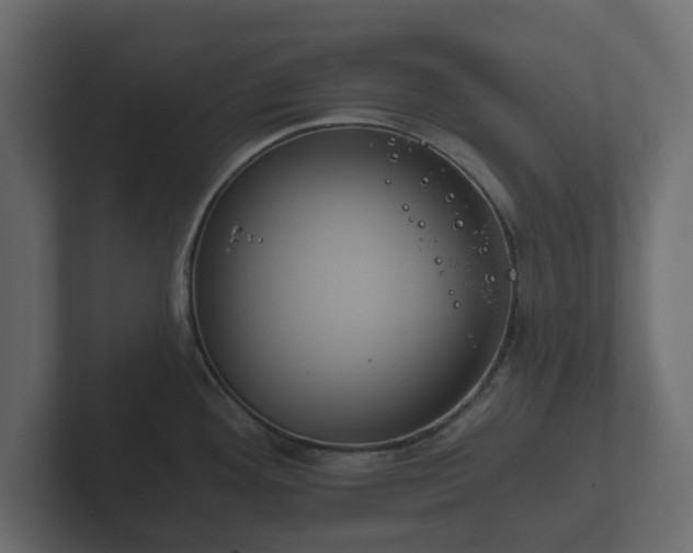 X0000102791292200808251021