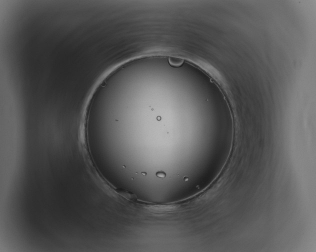 X0000102791296200808251021
