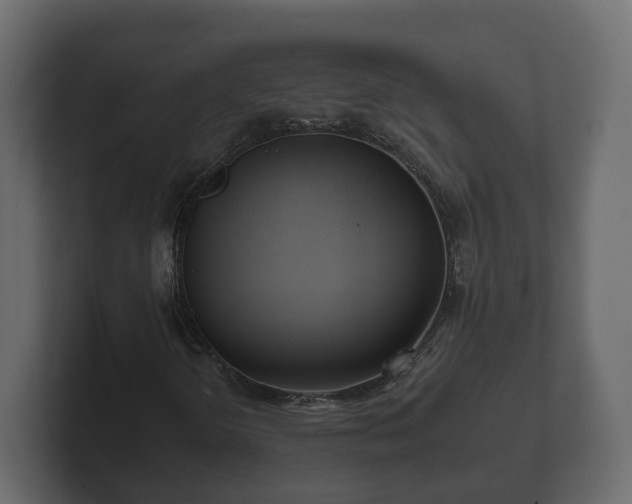 X0000102791298200808251020