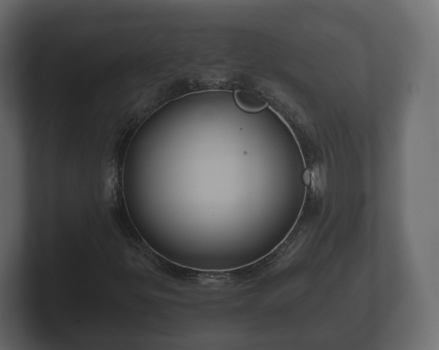 X0000102791299200808251020