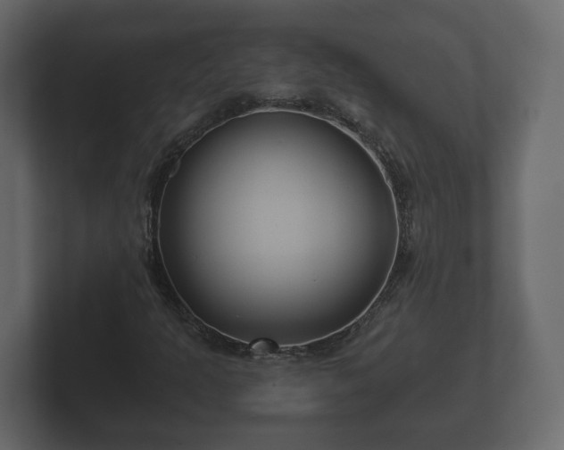 X0000102791301200808251020