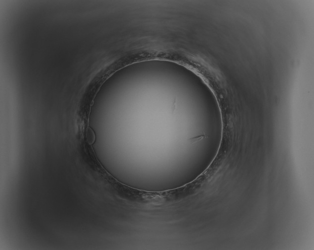 X0000102791302200808251020
