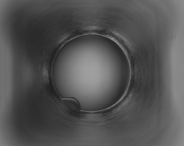 X0000102791305200808251020