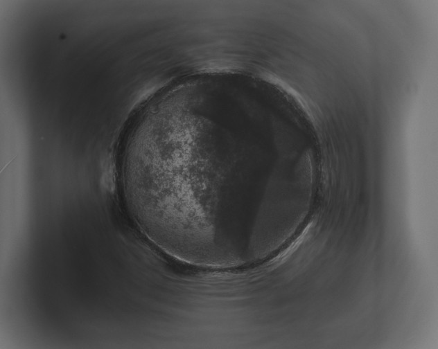 X0000102791306200808251020