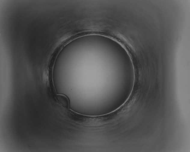 X0000102791307200808251020