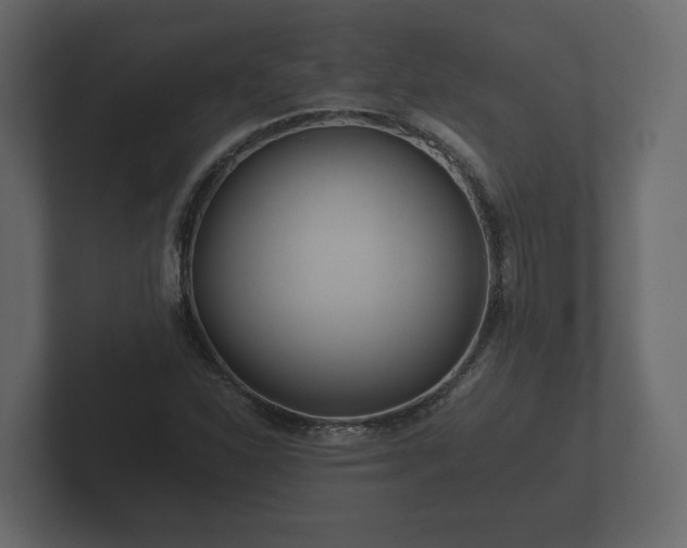 X0000102791310200808251020