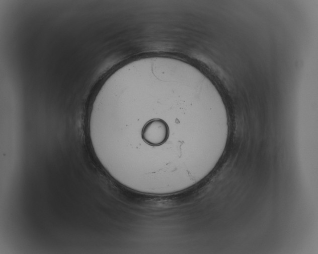 X0000102791314200808251020