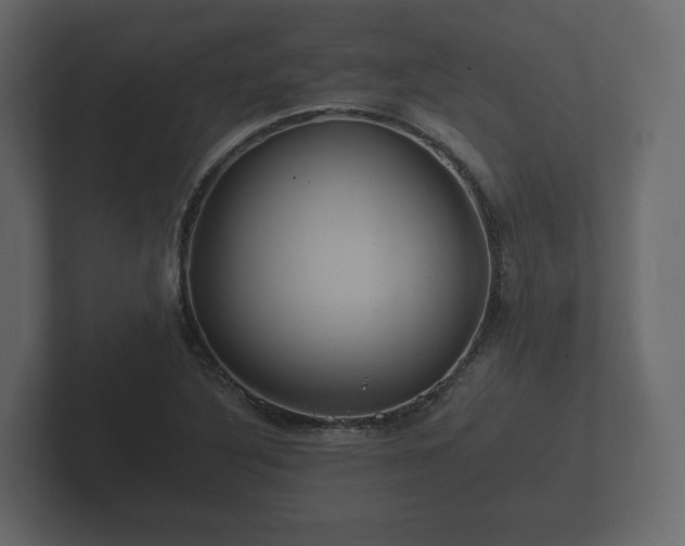 X0000102791316200808251020