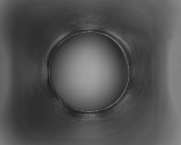 X0000102791317200808251020