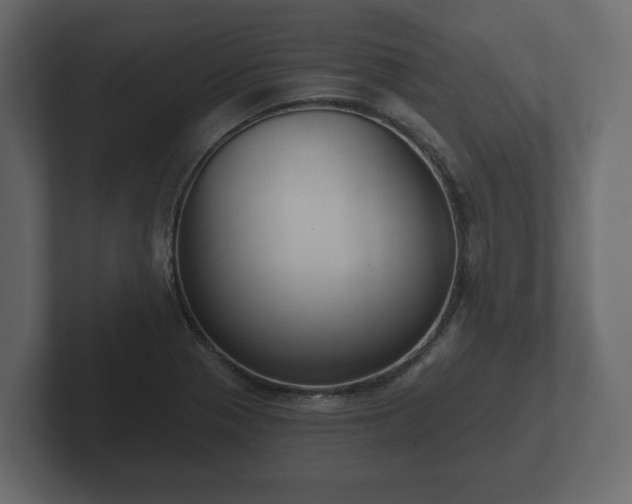X0000102791321200808251020