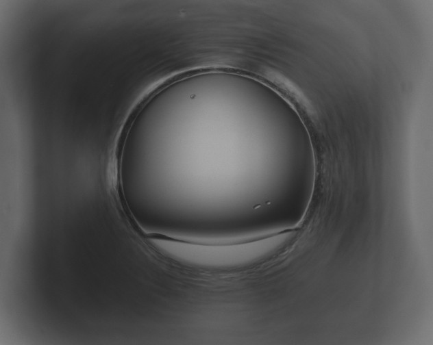 X0000102791324200808251020
