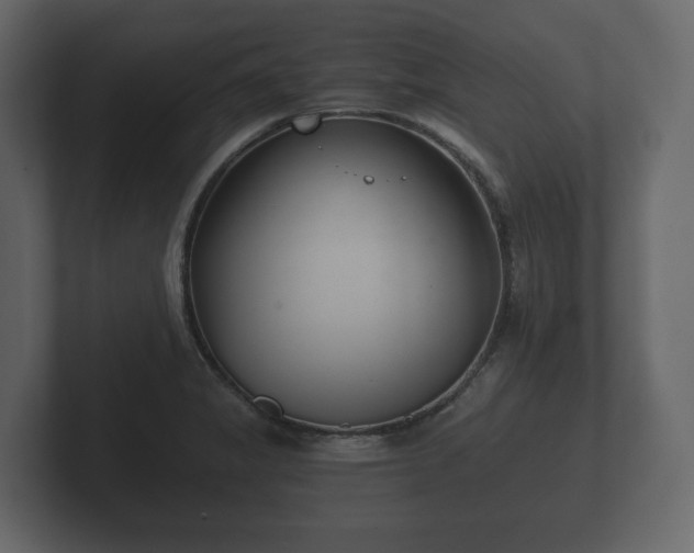 X0000102791325200808251020