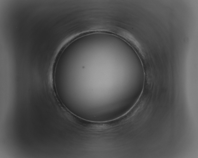 X0000102791328200808251020