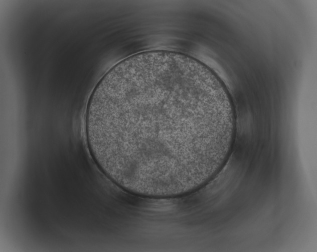 X0000102791338200808251021