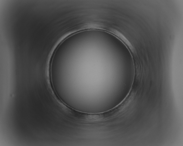 X0000102791339200808251021
