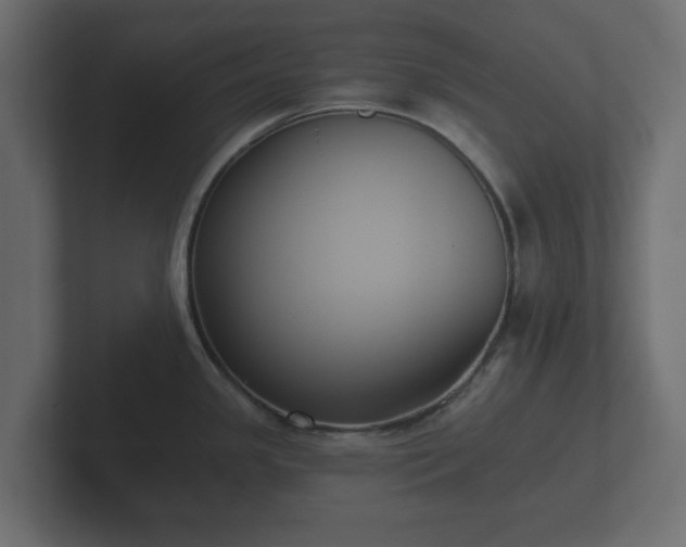 X0000102791341200808251021