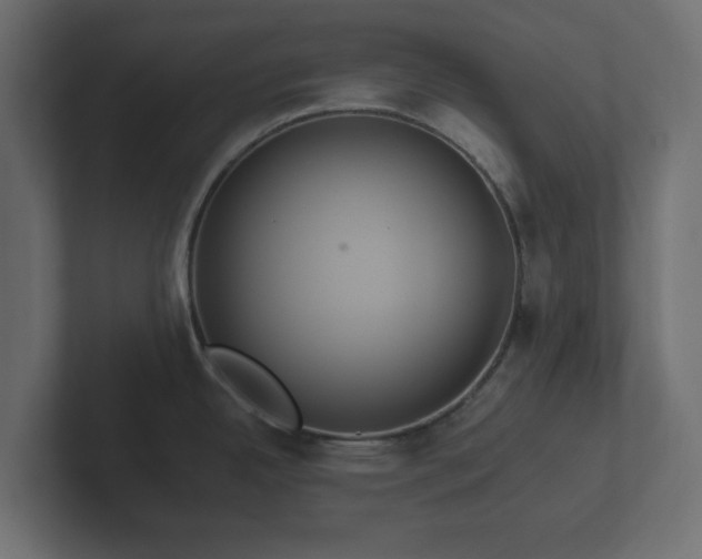 X0000102791342200808251021