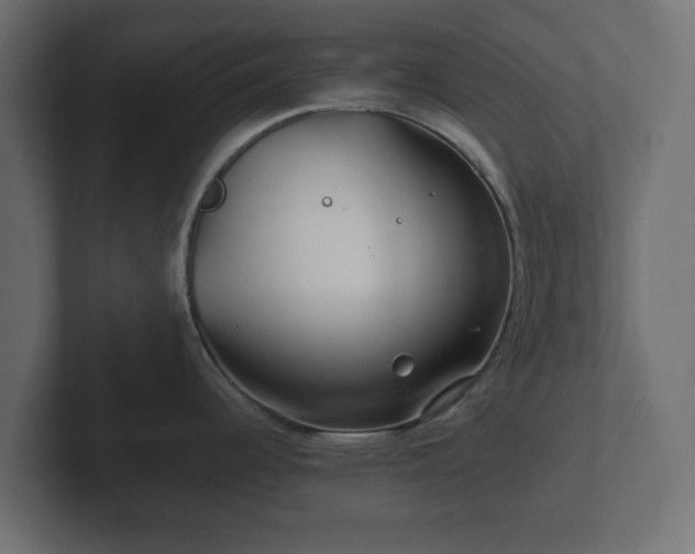 X0000102791344200808251021