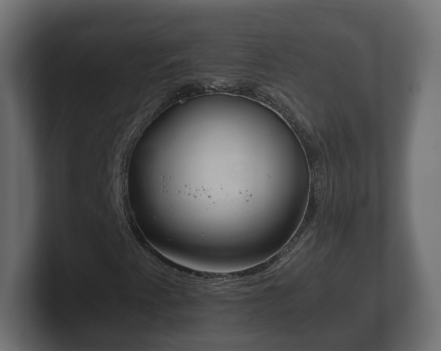 X0000102791345200808251020