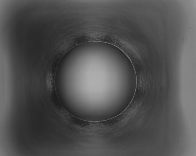 X0000102791346200808251020
