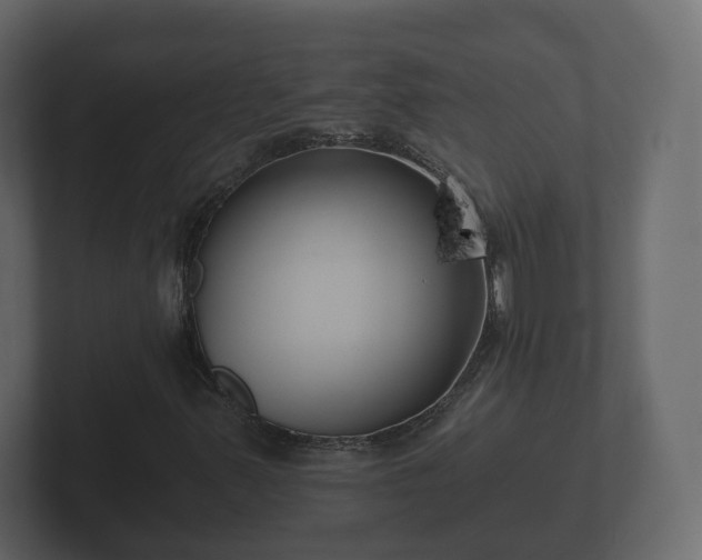 X0000102791347200808251020
