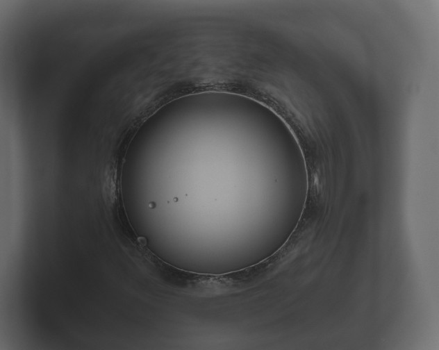 X0000102791348200808251020