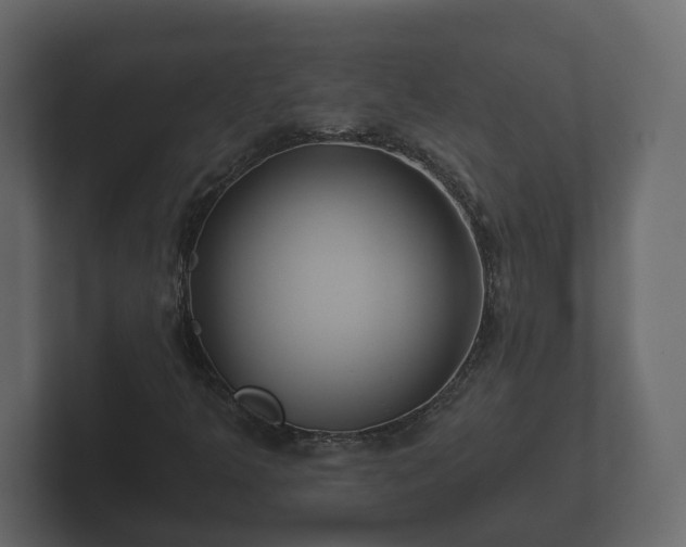 X0000102791349200808251020