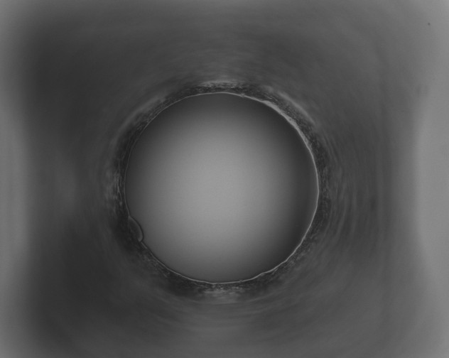 X0000102791351200808251020