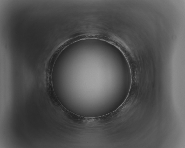 X0000102791352200808251020