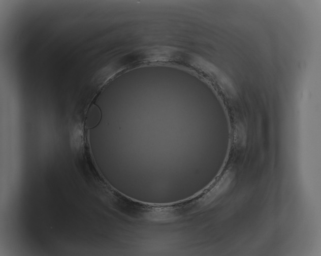 X0000102791353200808251020
