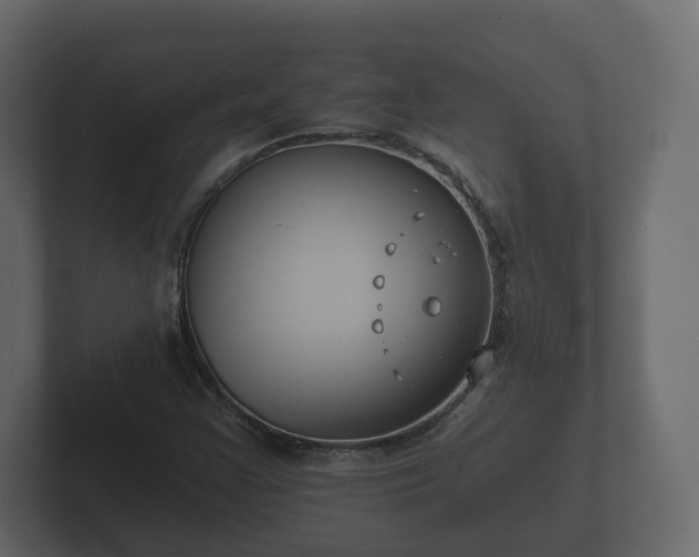 X0000102791355200808251020