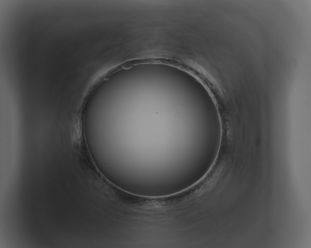 X0000102791358200808251020