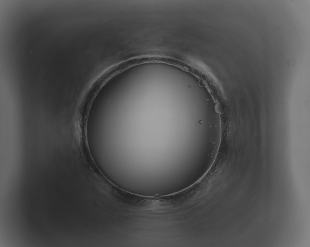 X0000102791360200808251020