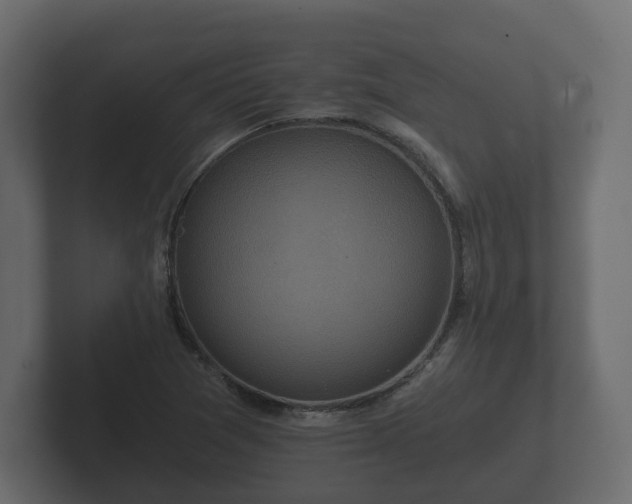 X0000102791361200808251020